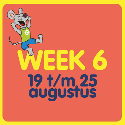 Week 6 | 19 t/m 25 augustus 